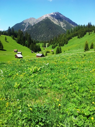 Blumenwiese - Gstehaus Steinkarblick Berwang Rinnen Tirol