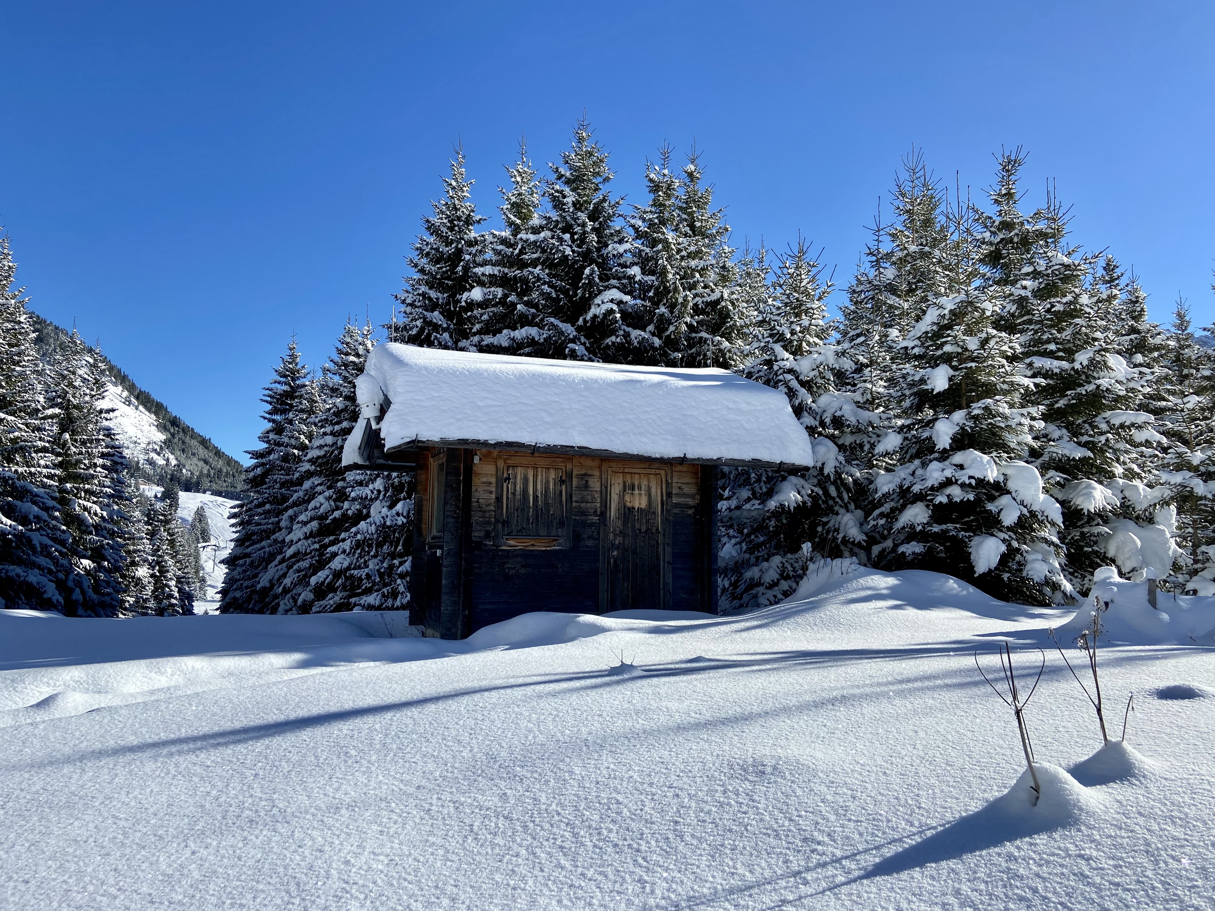 Skischaukel Berwang - Gstehaus Steinkarblick Berwang Rinnen Tirol - Urlaub Tiroler Zugspitz Arena