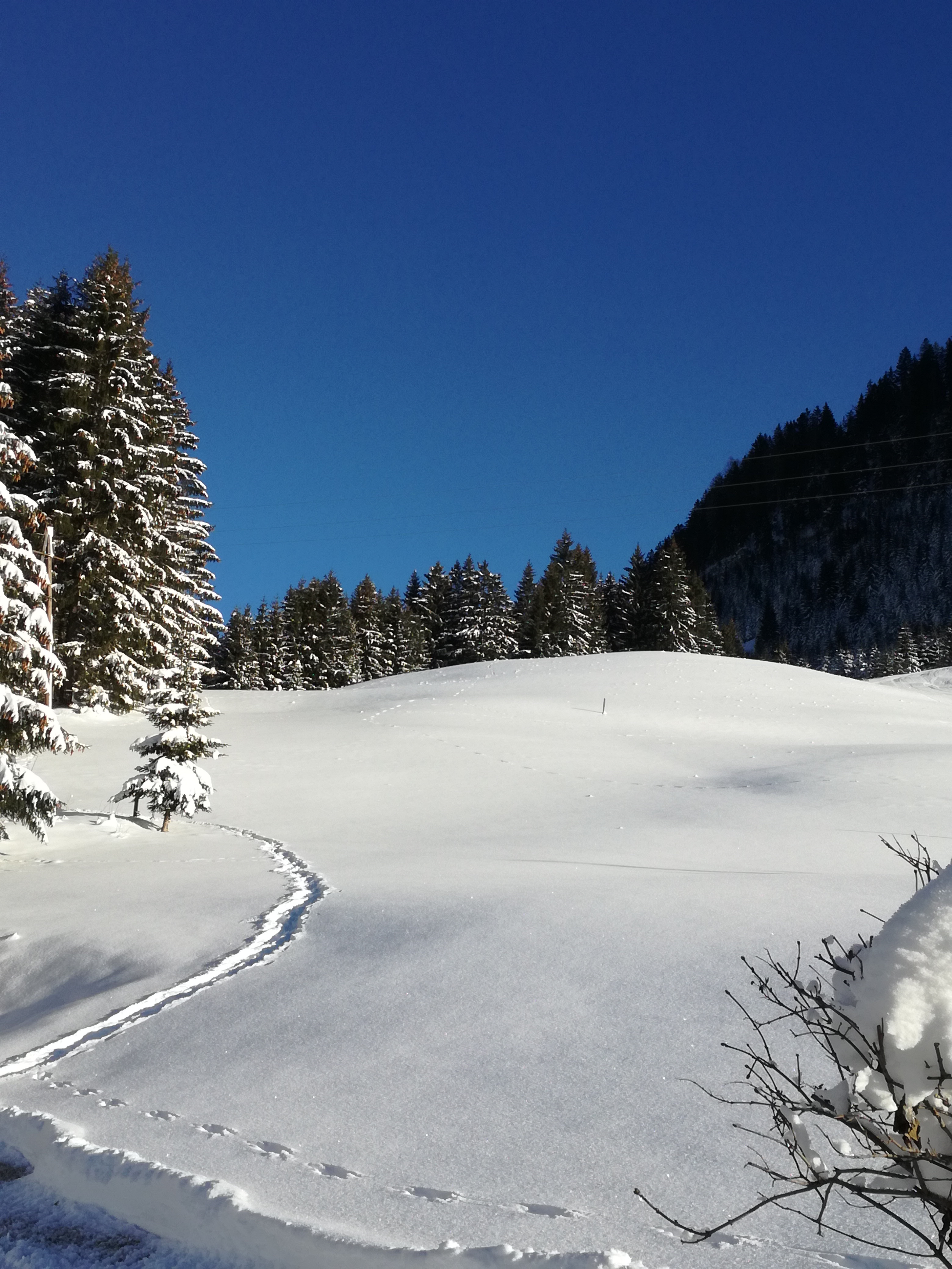 Gstehaus Steinkarblick Winter - Berwang Rinnen Tirol Ferienwohnung Zimmer Apartment